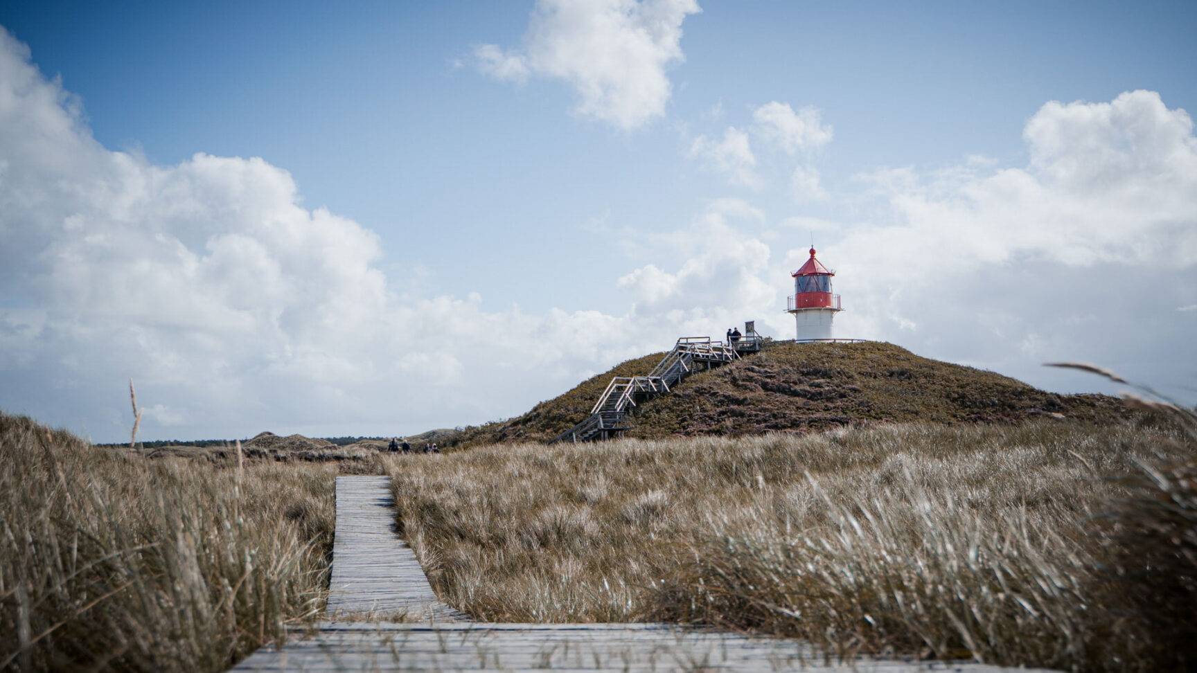 2019-09-Amrum_nikopallas-06(©Niko Pallas)